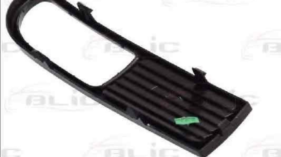 Grila ventilatie, bara protectie SEAT IBIZA II (6K1) BLIC 6502-07-66079951P