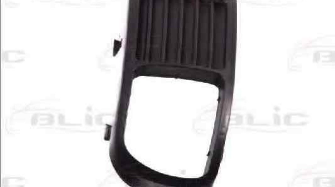 Grila ventilatie, bara protectie SEAT IBIZA II (6K1) BLIC 6502-07-66079951P