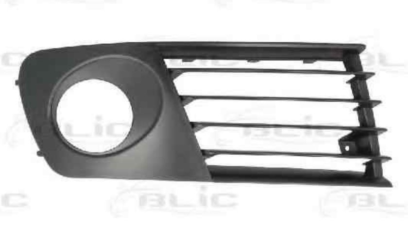 Grila ventilatie, bara protectie SEAT IBIZA IV (6L1) BLIC 6502-07-6609998PP