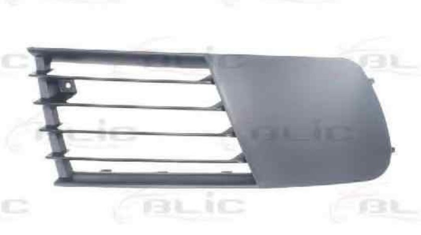 Grila ventilatie, bara protectie SEAT IBIZA IV (6L1) BLIC 6502-07-6609998P