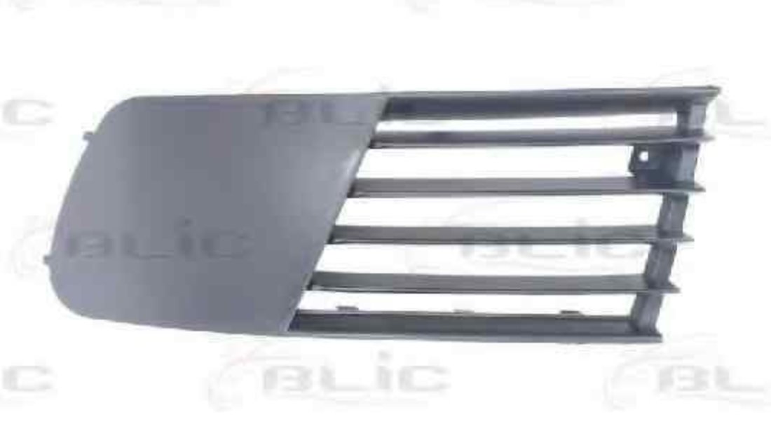 Grila ventilatie, bara protectie SEAT IBIZA IV (6L1) BLIC 6502-07-6609997P