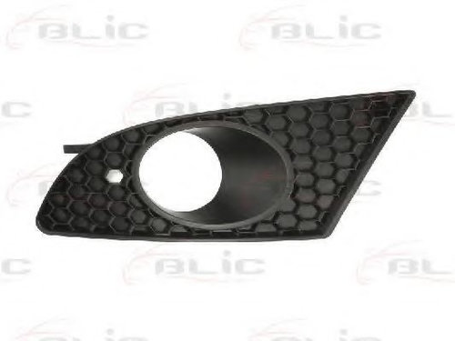 Grila ventilatie, bara protectie SEAT LEON (1P1) (2005 - 2012) BLIC 6502-07-6613993P piesa NOUA