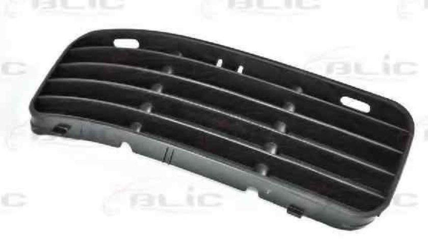 Grila ventilatie, bara protectie VW CADDY II caroserie (9K9A) BLIC 6502-07-9505996P