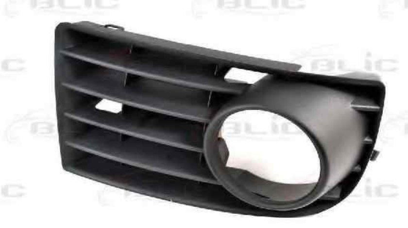 Grila ventilatie, bara protectie VW GOLF V (1K1) BLIC 6502-07-9524996P