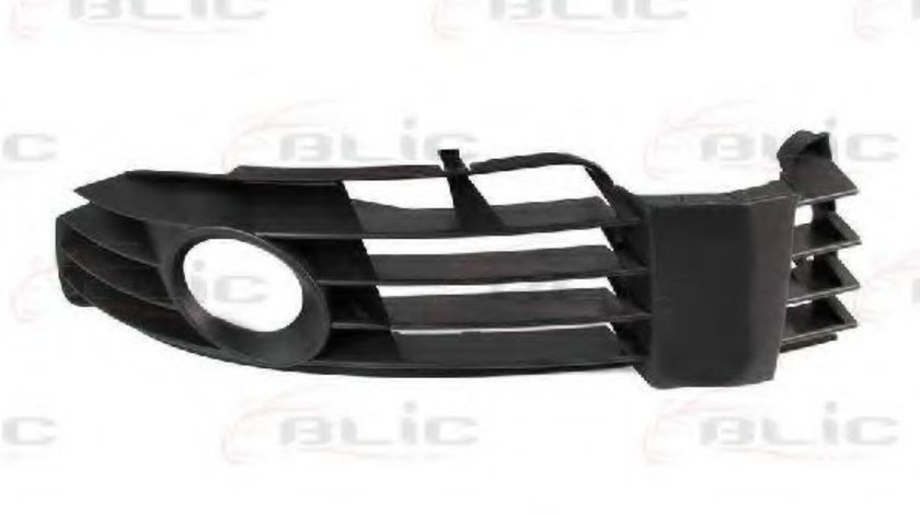 Grila ventilatie, bara protectie VW PASSAT (3B3) (2000 - 2005) BLIC 6502-07-9539993P piesa NOUA