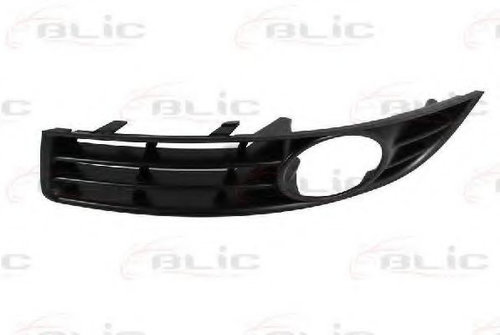Grila ventilatie, bara protectie VW PASSAT (3C2) (2005 - 2010) BLIC 6502-07-9540993P piesa NOUA