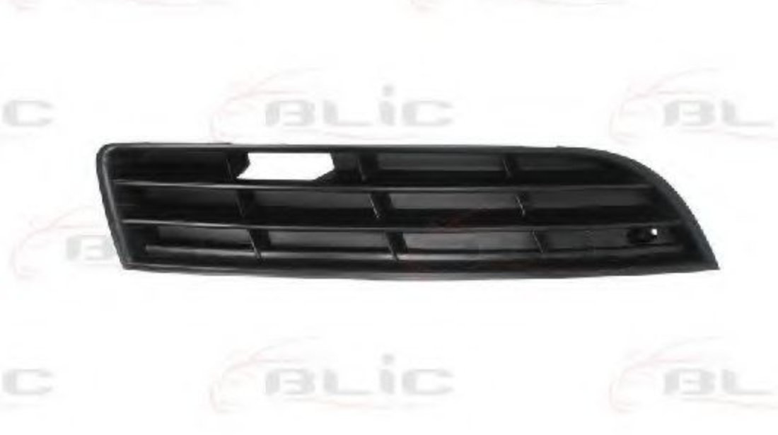 Grila ventilatie, bara protectie VW PASSAT Variant (3C5) (2005 - 2011) BLIC 6502-07-9540996P piesa NOUA