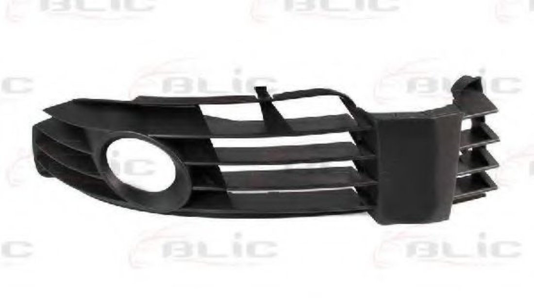 Grila ventilatie, bara protectie VW PASSAT Variant (3B6) (2000 - 2005) BLIC 6502-07-9539993P piesa NOUA