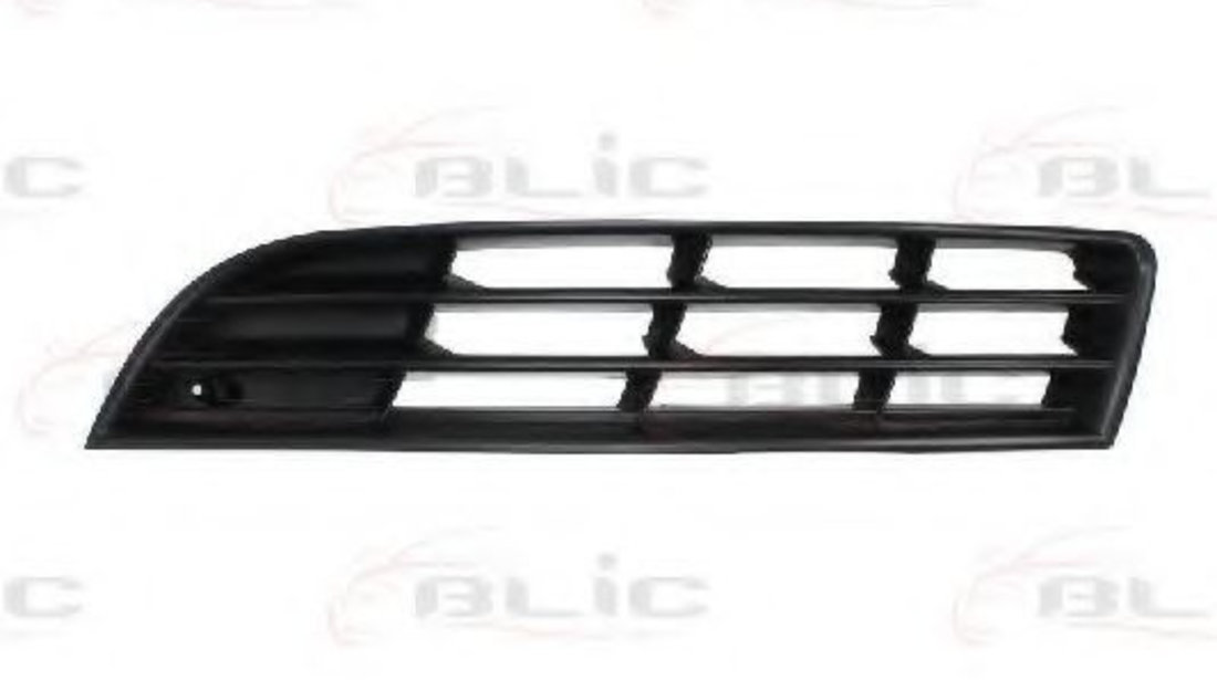 Grila ventilatie, bara protectie VW PASSAT Variant (3C5) (2005 - 2011) BLIC 6502-07-9540995P piesa NOUA