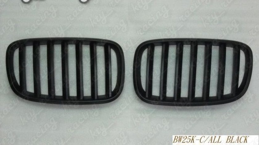 GRILE BMW X5