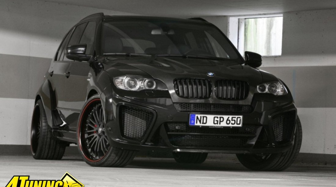 Grile BMW X6 negre