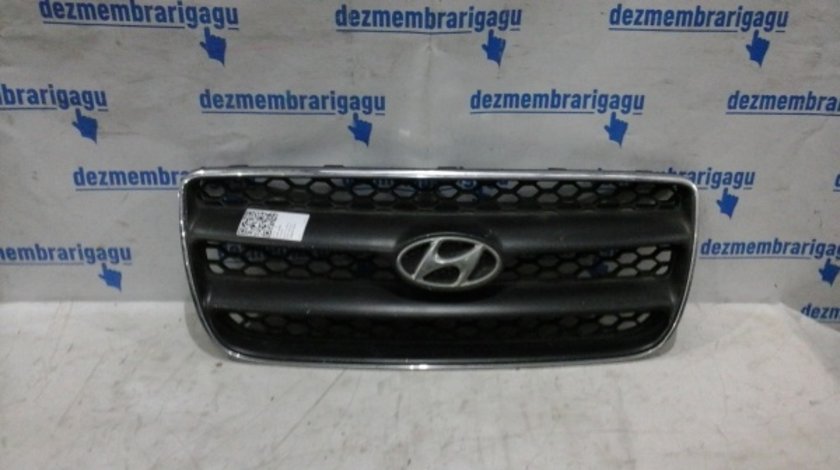 Grile capota Hyundai Santa Fe (2006-)