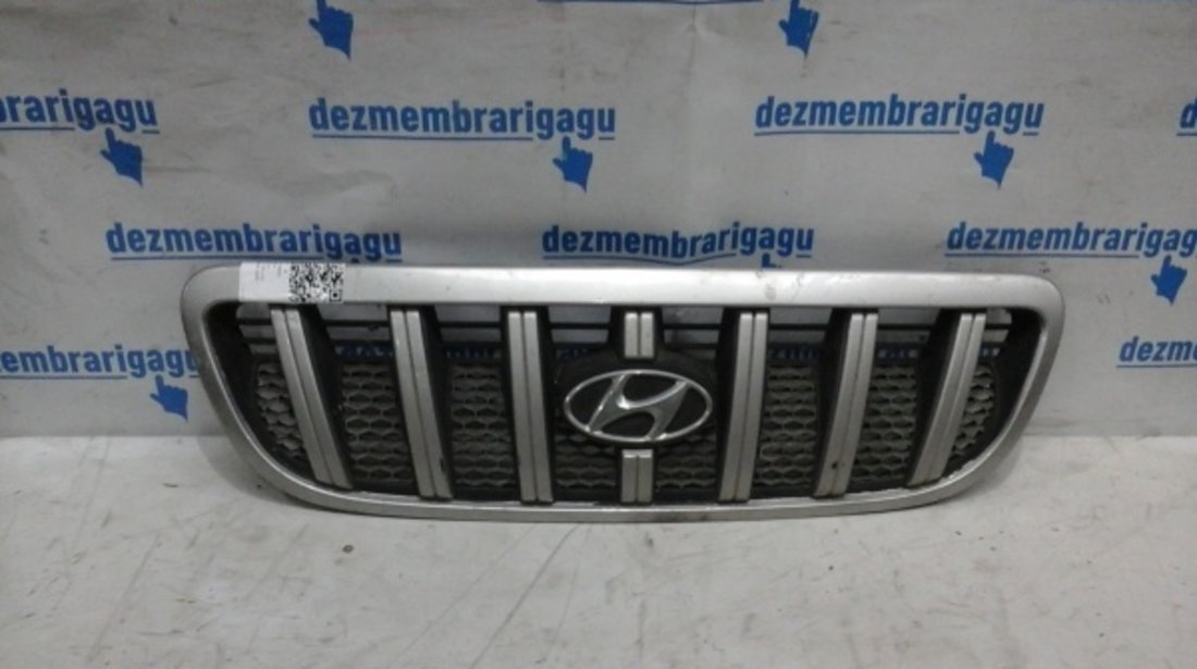 Grile capota Hyundai Terracan
