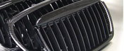 Grile din carbon pentru BMW