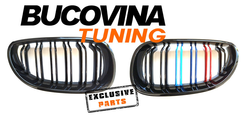 Grile duble BMW Seria 5 E60/ E61 (03-10)