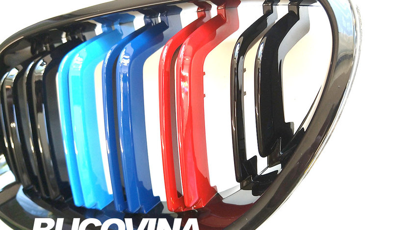 Grile duble BMW Seria 5 E60/ E61 (03-10)