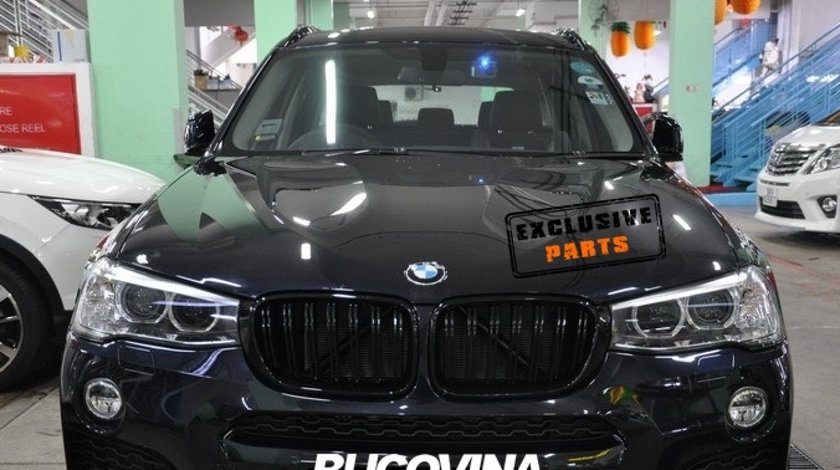 Grile Duble BMW X4 F26 (14-18)