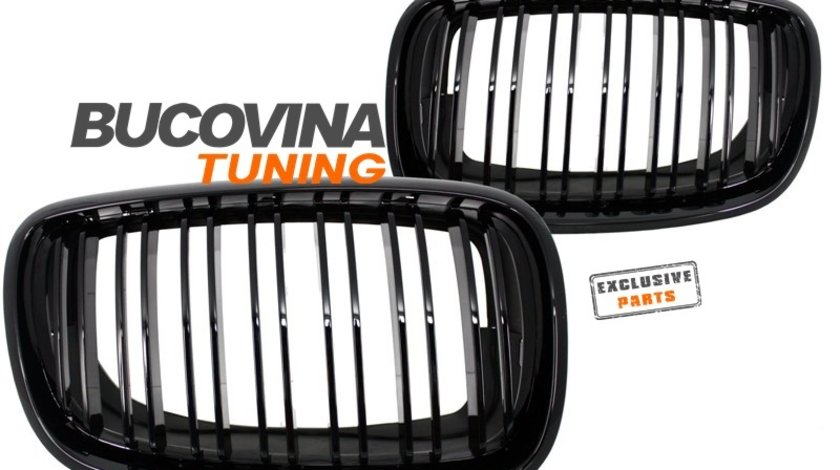 GRILE DUBLE BMW X5 E70 (07-13)