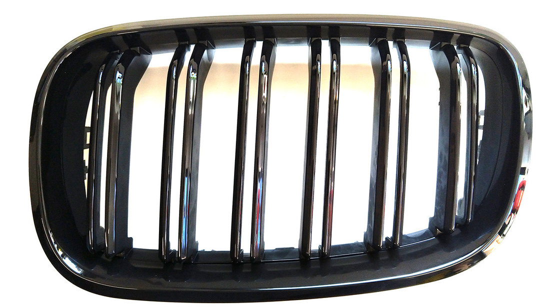 Grile Duble BMW X5 E70 (07-13)