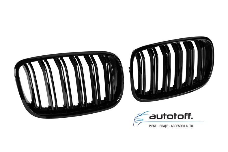 Grile duble BMW X5 E70 (07-14) model M