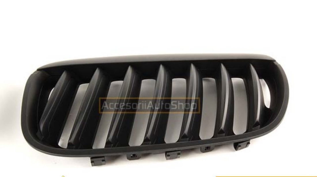 Grile Radiator Bmw X5 E53 2004 2006