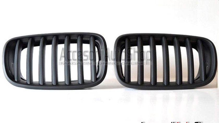 Grile Radiator BMW X5 E70