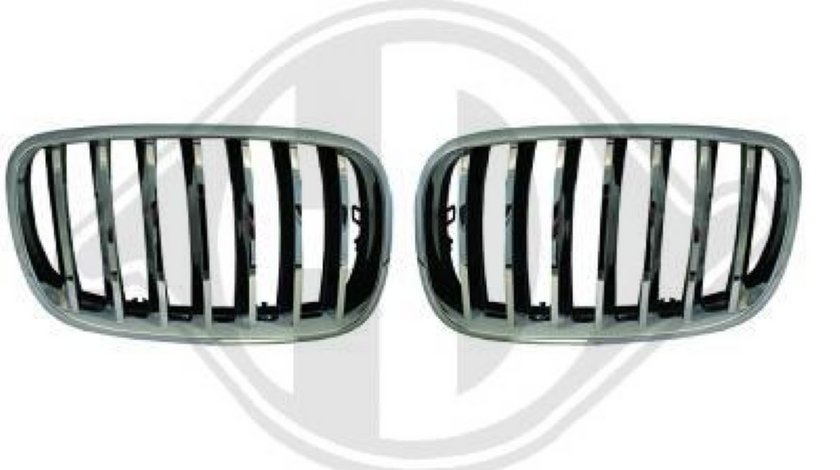 GRILE RADIATOR BMW X5/X6 - GRILE BMW X5/X6