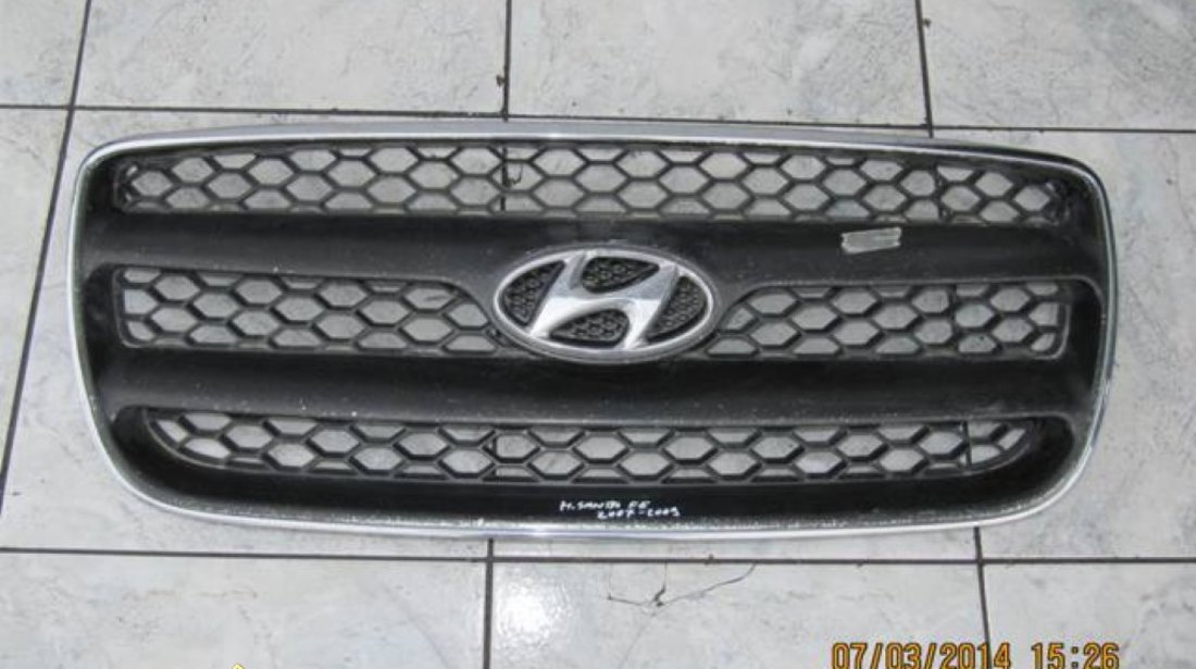 Grile radiator Hyundai Santa Fe