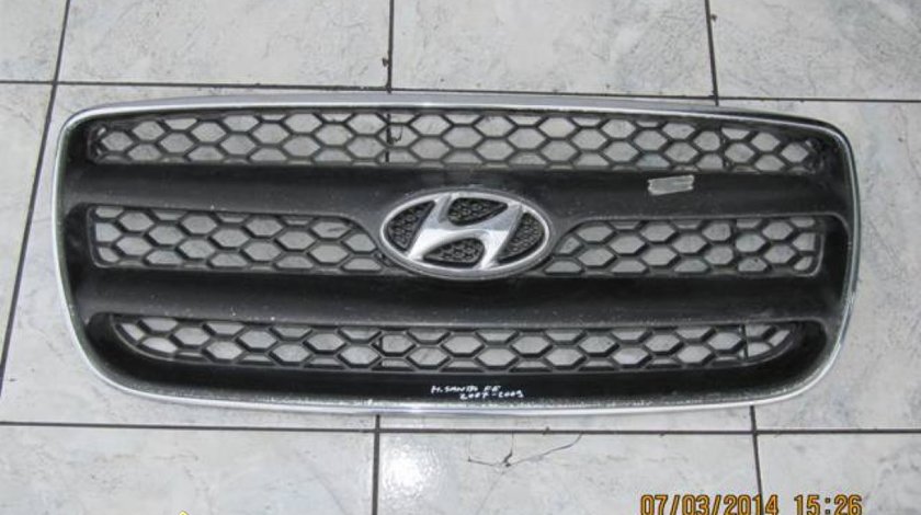 Grile radiator Hyundai Santa Fe