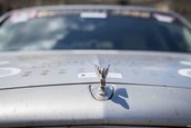 Gumball 3000 in Romania