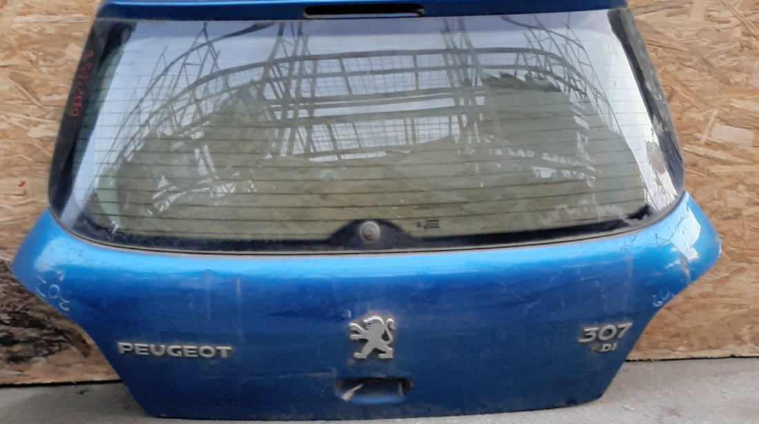 Haion Albastru Peugeot 307 2000 - Prezent