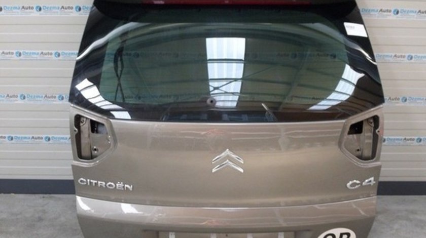 Haion Citroen C4 Picasso (UD)