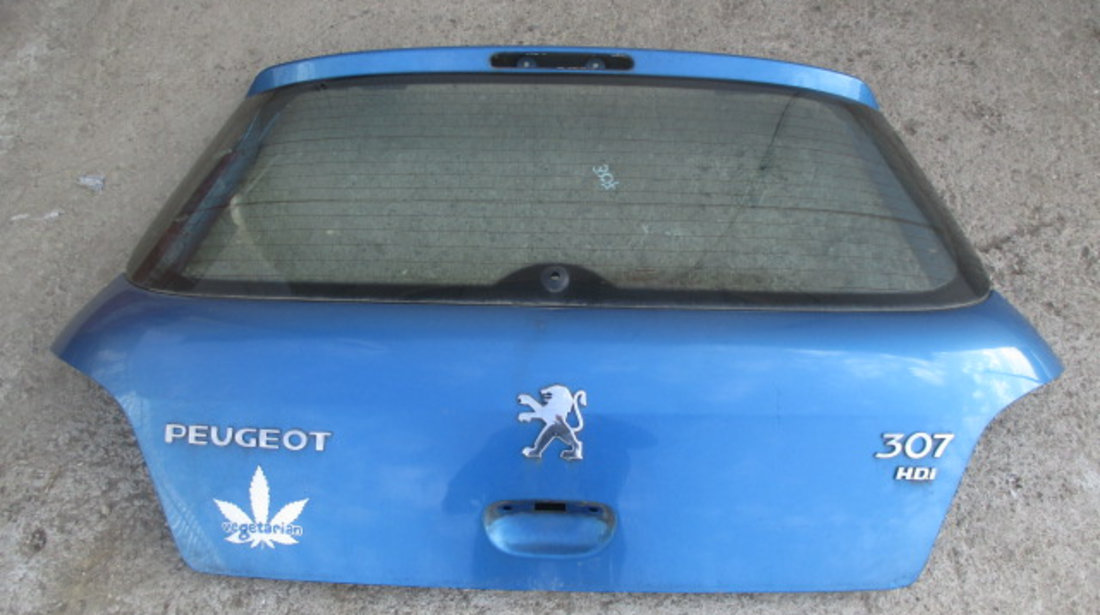 HAION CU LUNETA PEUGEOT 307 FAB. 2000 – 2007 ⭐⭐⭐⭐⭐