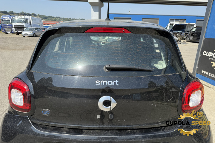 Haion cu luneta Smart Forfour 2 [2015 - 2020] EQ ELECTRIC 5AL-601