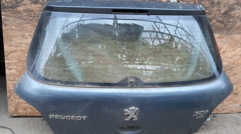 Haion Gri Peugeot 307 2000 - Prezent