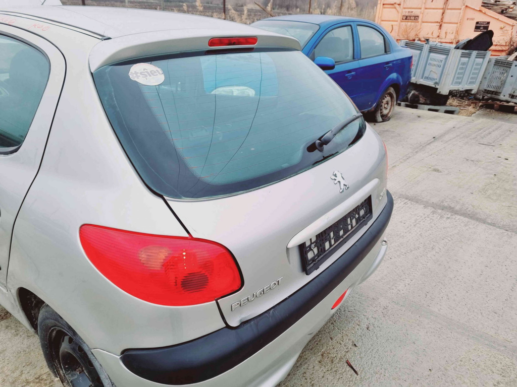 Haion Peugeot 206 [Fabr 1998-2009] ETS