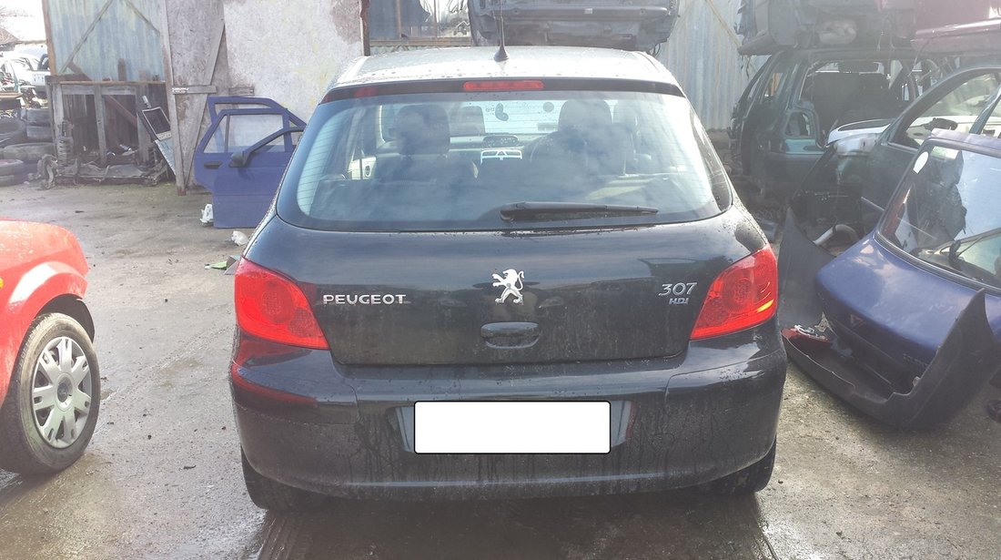 haion peugeot 307 1.6tdci an 2007