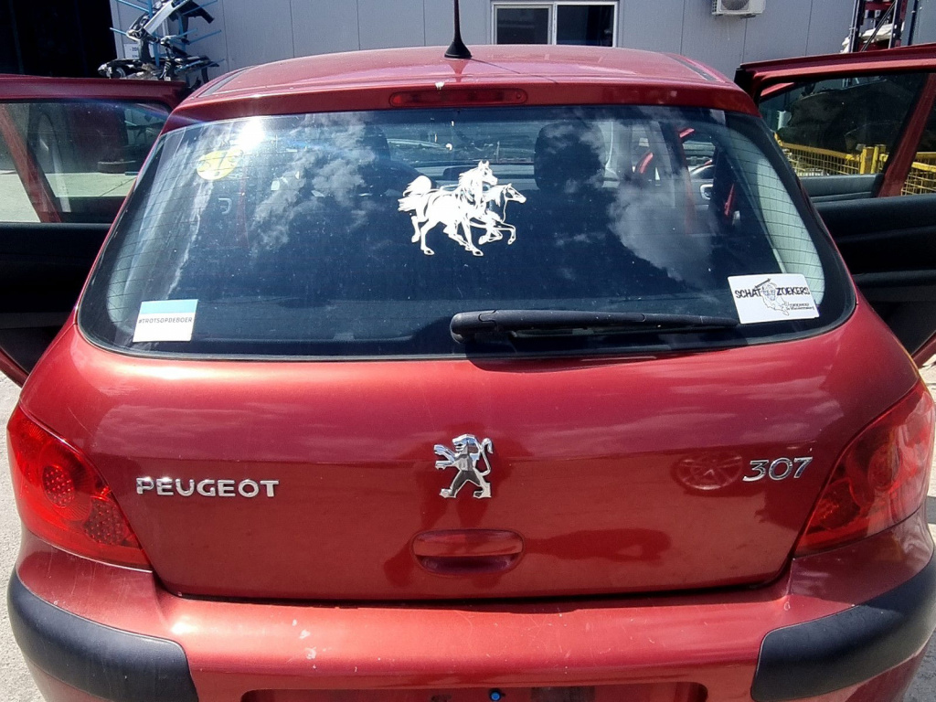 Haion PEUGEOT 307 [Fabr 2000-2008] 1.6 HDI NFU 80KW / 109CP