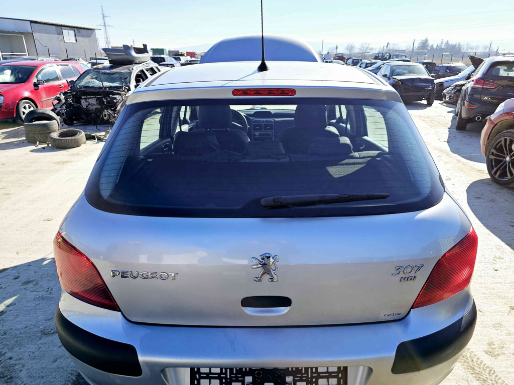 Haion Peugeot 307 [Fabr 2000-2008] EZR