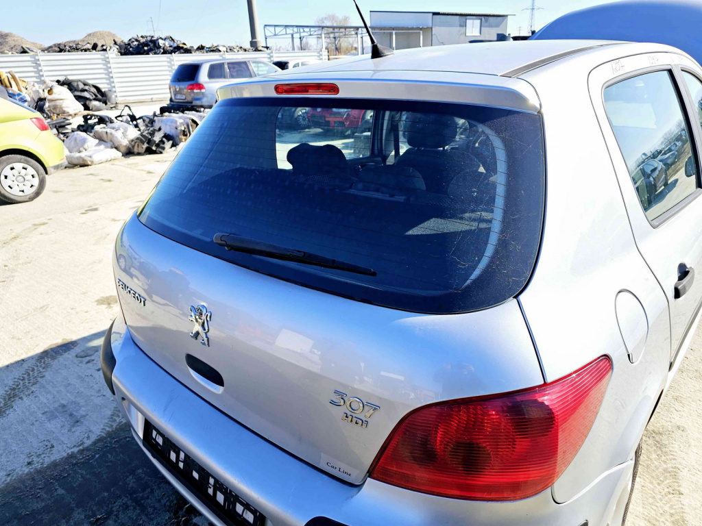 Haion Peugeot 307 [Fabr 2000-2008] EZR