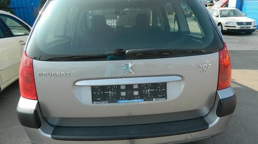 Haion Peugeot 307 model 2001-2008