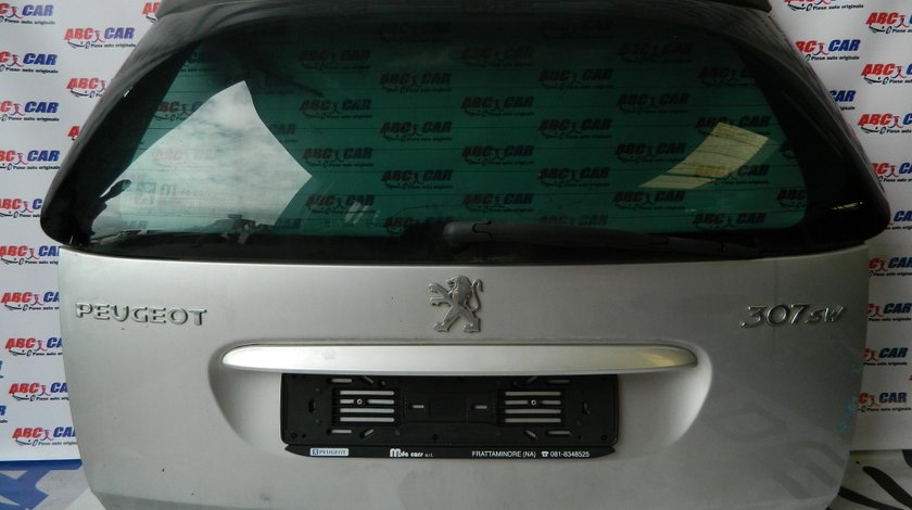 Haion Peugeot 307 SW