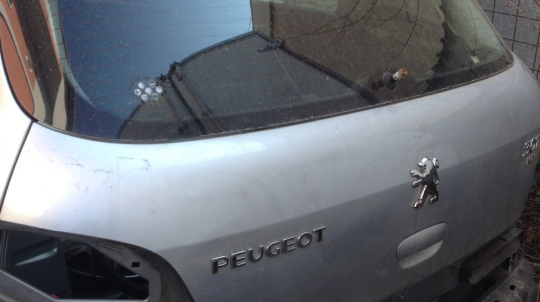 Haion peugeot 307