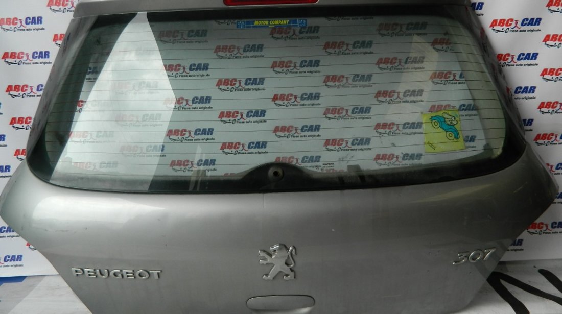 Haion Peugeot 307