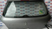 Haion Peugeot 307