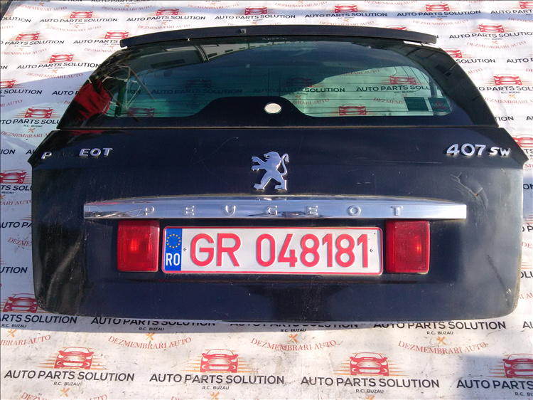 Haion PEUGEOT 407