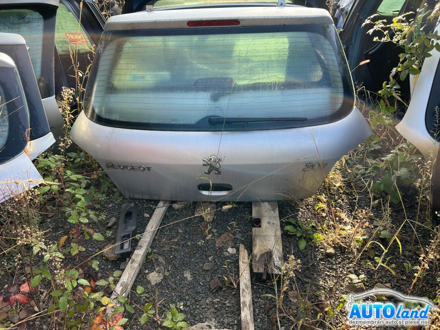 Haion/portbagaj Argintiu Peugeot 307 3A/C 2000