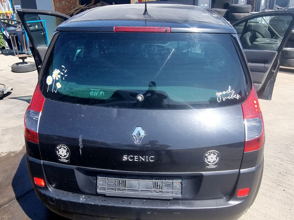 Haion Renault Grand Scenic 2 [Fabr 2003-2008] 1.9 CDI F9Q803 96KW / 130CP