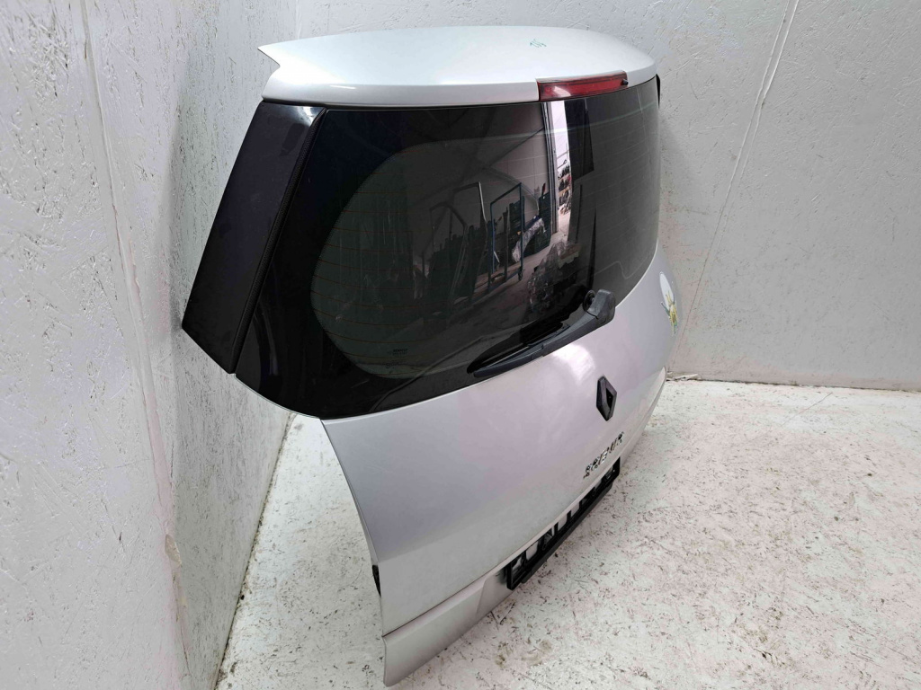 Haion Renault Scenic 1 [Fabr 1999-2003] TEHNK
