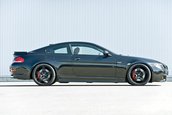 Hamann a modificat BMW Seria 6 Facelift